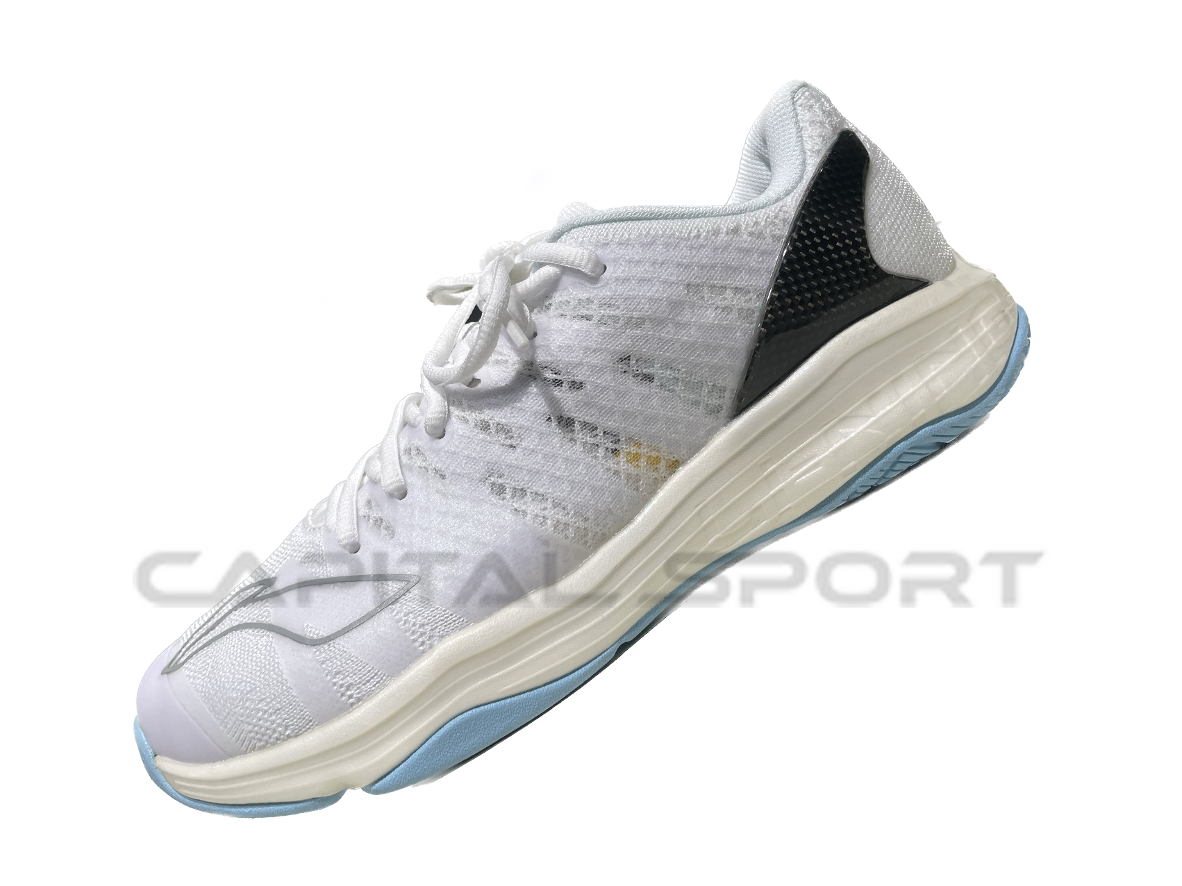 Li Ning Badminton Shoe (Men) AYAP009-WJ